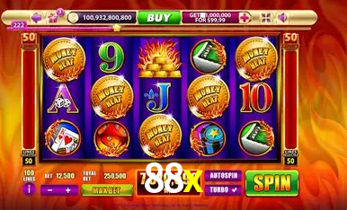 cassino 88x